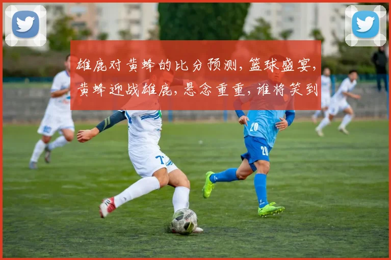 雄鹿对黄蜂的比分预测,篮球盛宴,黄蜂迎战雄鹿,悬念重重,谁将笑到最后