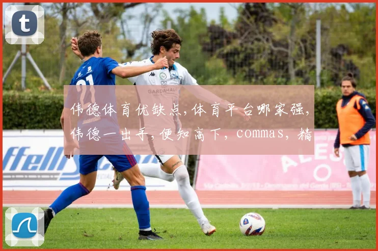 伟德体育优缺点,体育平台哪家强,伟德一出手,便知高下, commas, 精准把握。