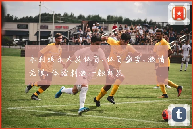永利娱乐大发体育,体育盛宴,激情无限,体验刺激一触即发